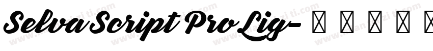 Selva Script Pro Lig字体转换